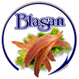logo-blasan